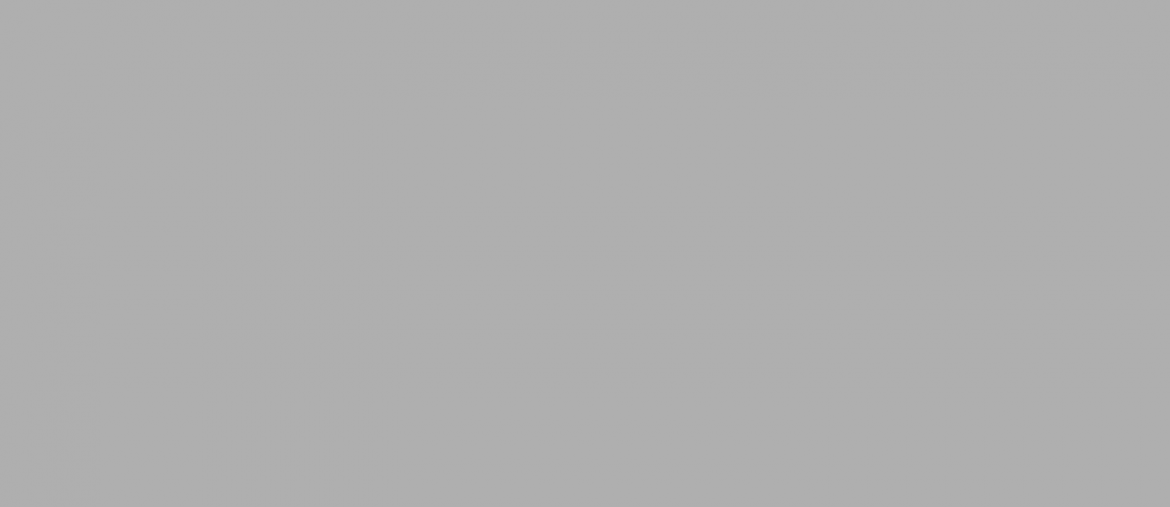 FREEPORTCITYSEAL-HEADER1500x650A_GREY.png