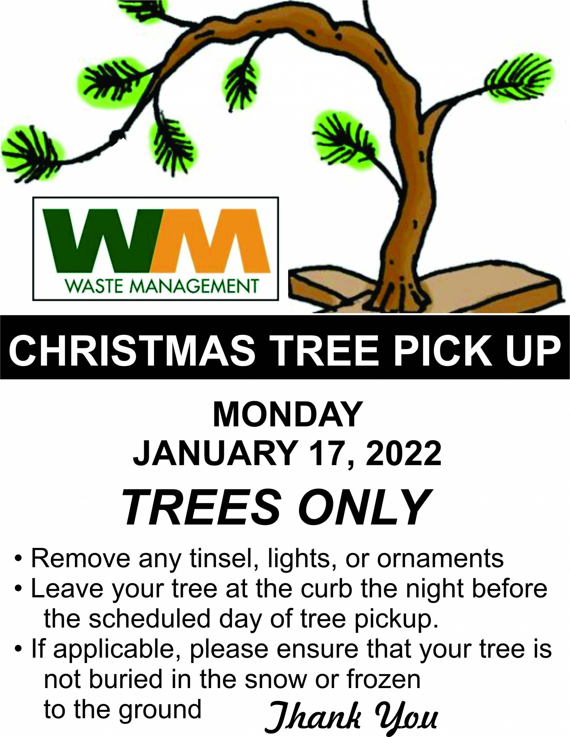 Christmas Tree Pickup